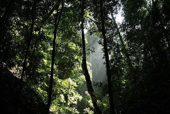 ��˫�������ַ��