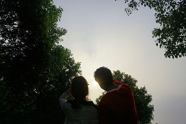 Ϧ���µ�����