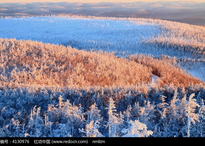 Ϧ�ձ�ѩ��ɭ��ͼƬ