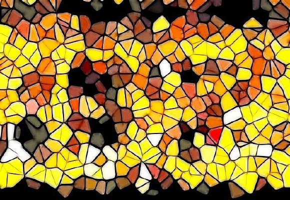 ������ֽ