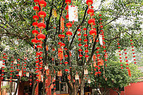 ���Ϻ����