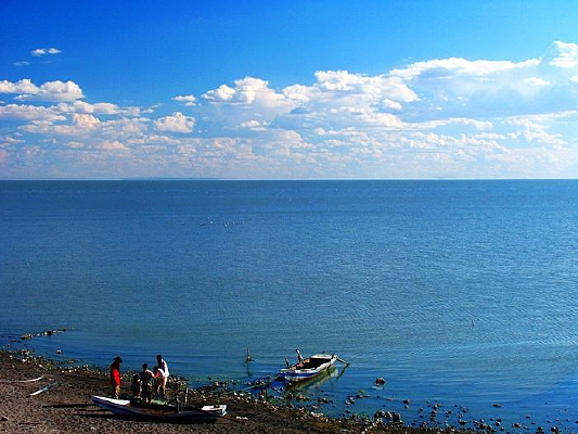 ���׺�����