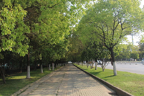 �������