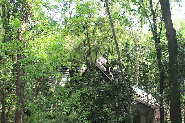 ����С����