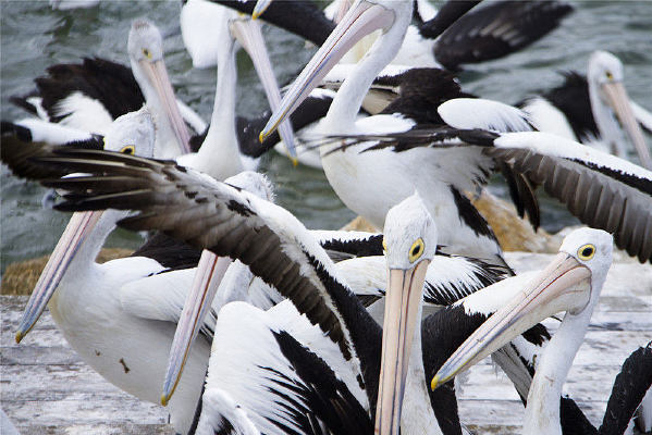 �Ĵ����Ǵ���