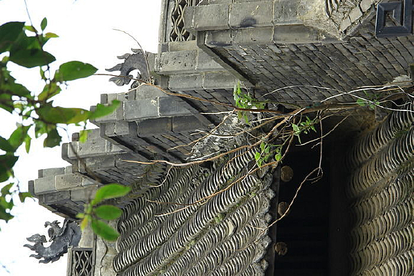 ��ש���ߵ�