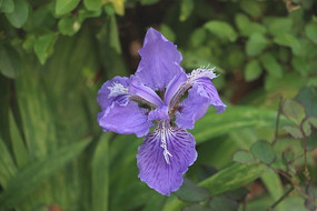 ·�ߵ���ɫ�Ļ�