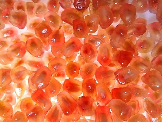 ˮ������