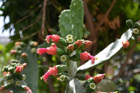 �컨������