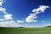 ����ϣ��