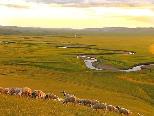 Ϧ���·���