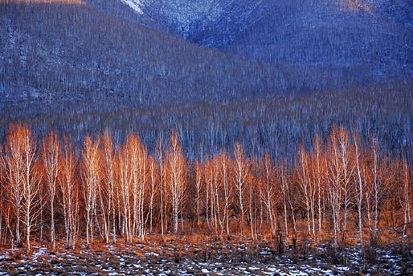 Ϧ��������