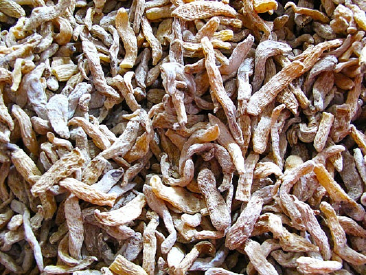 ����ֲ��