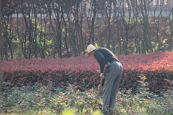 �̻�����