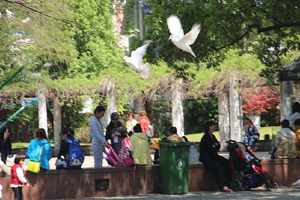 �����ڷ���