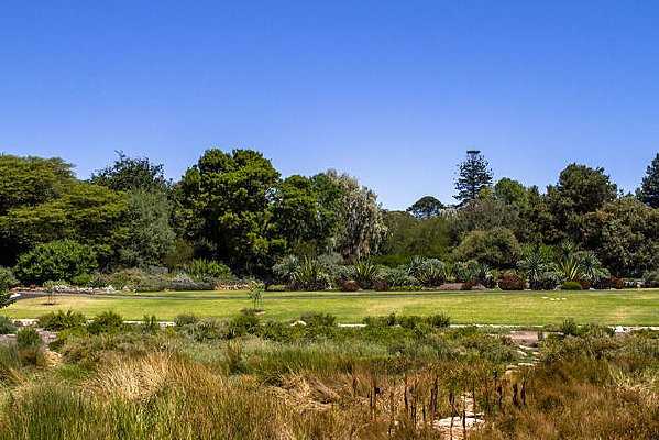 �ȴ�����