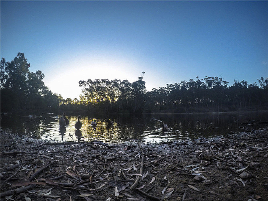 ��԰���ߵĴ���ͼ