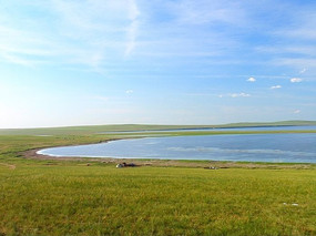 �°Ͷ�����ԭ