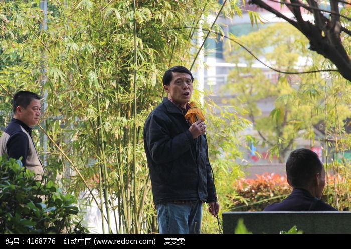 ��԰���������ͼƬ