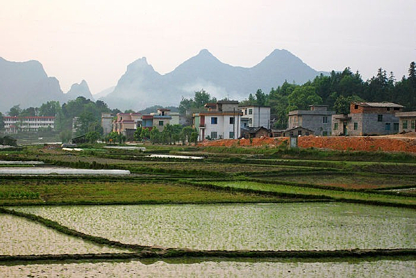 ����ũ��