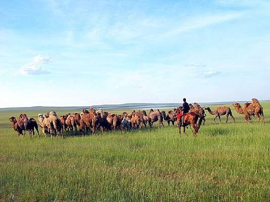 ��ԭ��������羰