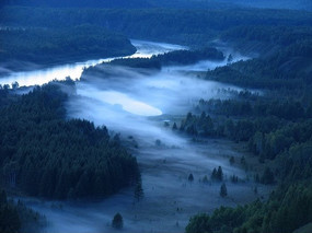 ����ҹɫ�λ�