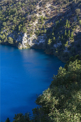 �����ĺ���