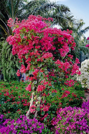 �����л�