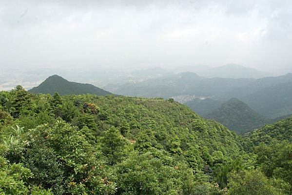 ���ȴ���ֲ