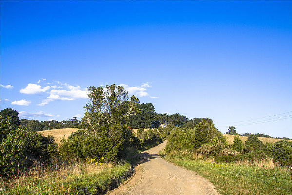 ��ɽ���ݳ�