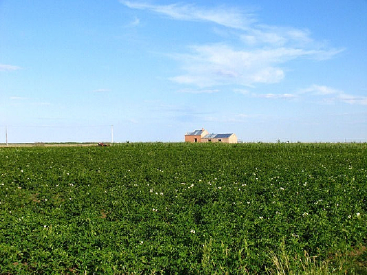 ��������ֲ����