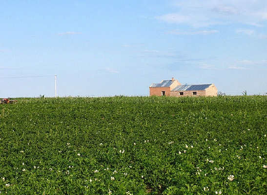 �޹����߲˻���