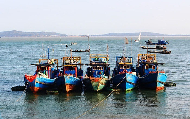 ���ź��߷羰