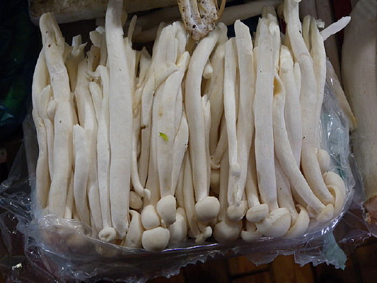 ���ʾ���