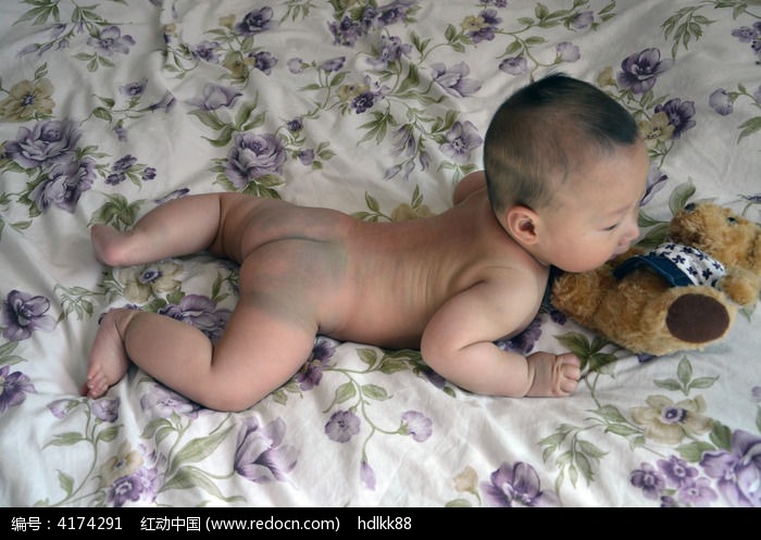 Ӥ��ſ��ͼƬ