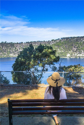 ��ɫ��T����