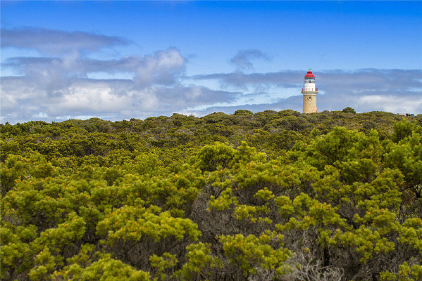 �������ȴ�����