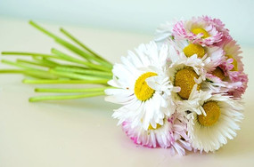 ��ɫ���ջ�