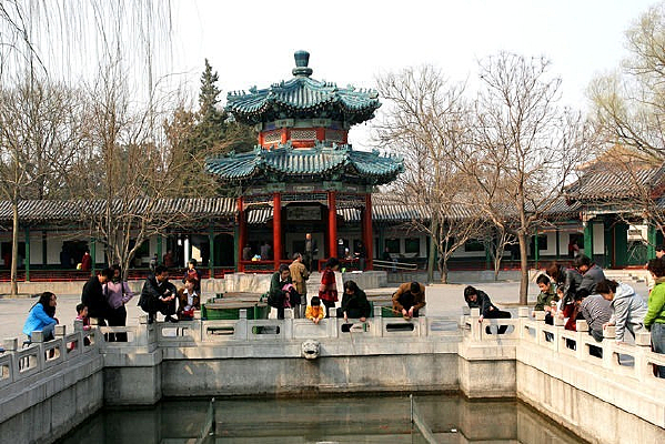 ��԰����