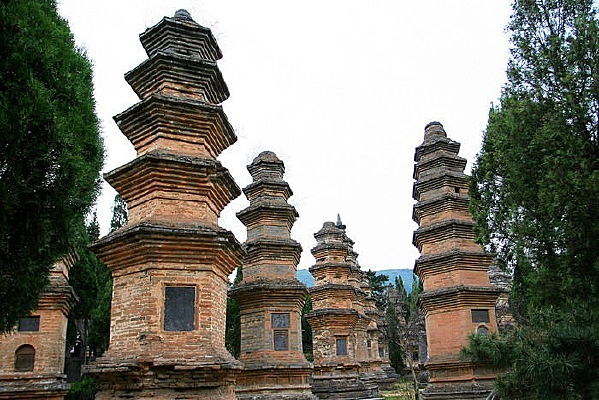 �Ƿ�������