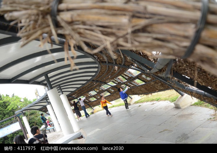 海上田园里观景草棚