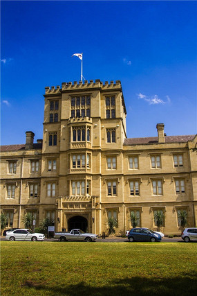 ���ƹ���