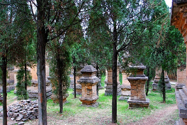 ���־������