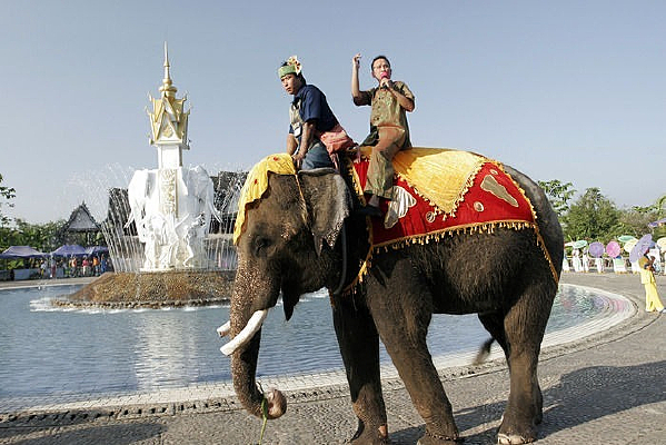 ��˫���ɵĴ���