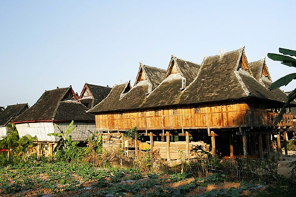 ������Ȼ����