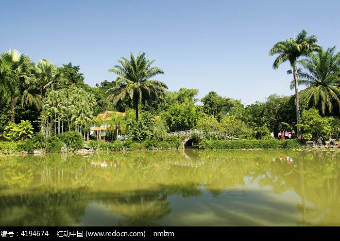 西雙版納熱帶植物園水景高清圖片下載_紅動網