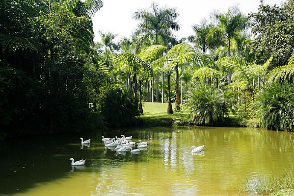 ����ֲ��԰