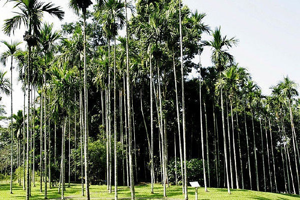 ��˫����ֲ��԰���