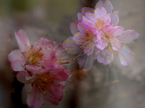 �����ع�