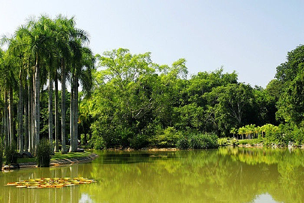 ������������Ȼ����